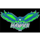 Midwest Hawks